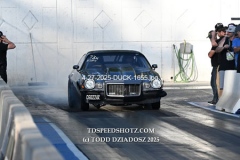 4-27-2025-DUCK-1655