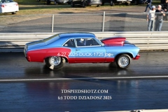 4-27-2025-DUCK-1725