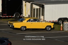 4-27-2025-DUCK-1741