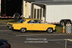 4-27-2025-DUCK-1742