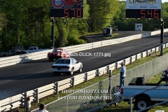 4-27-2025-DUCK-1771