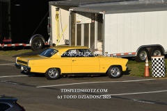 4-27-2025-DUCK-1774