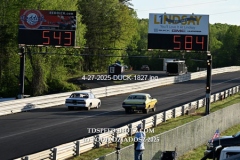 4-27-2025-DUCK-1827