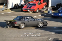 4-27-2025-DUCK-1941