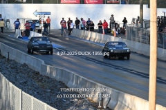 4-27-2025-DUCK-1955