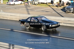 4-27-2025-DUCK-1960