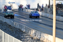 4-27-2025-DUCK-2033