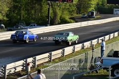 4-27-2025-DUCK-2052