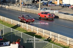 4-27-2025-DUCK-2099
