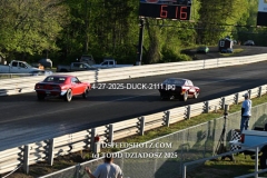 4-27-2025-DUCK-2111