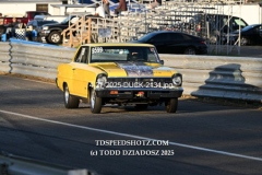 4-27-2025-DUCK-2134