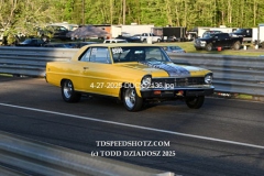 4-27-2025-DUCK-2136