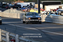 4-27-2025-DUCK-2167
