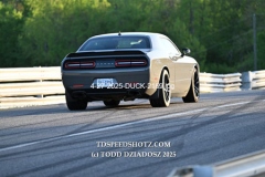 4-27-2025-DUCK-2169