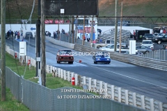 4-27-2025-DUCK-2246