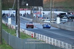 4-27-2025-DUCK-2247
