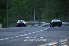 4-27-2025-DUCK-2296