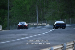 4-27-2025-DUCK-2297