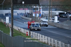 4-27-2025-DUCK-2349