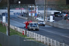 4-27-2025-DUCK-2350