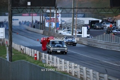 4-27-2025-DUCK-2351