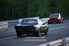 4-27-2025-DUCK-2384