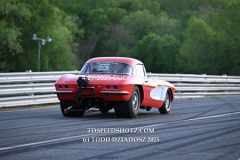 4-27-2025-DUCK-2444