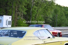 4-27-2025-DUCK-2528