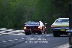 4-27-2025-DUCK-2531