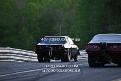 4-27-2025-DUCK-2564