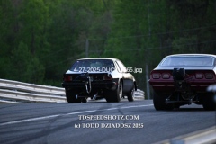 4-27-2025-DUCK-2565