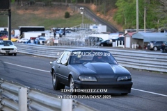 4-27-2025-DUCK-2609