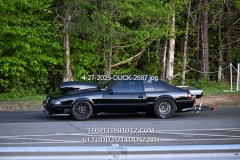 4-27-2025-DUCK-2687
