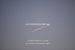4-27-2025-DUCK-2691