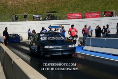 4-27-2025-DUCK-2744