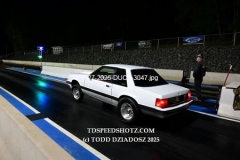 4-27-2025-DUCK-3047