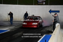 4-27-2025-DUCK-3086