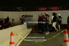 4-27-2025-DUCK-3120