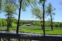 5-10-2025-CMRS-982