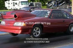 5-25-2025-BSD-3879