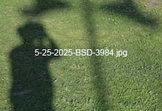 5-25-2025-BSD-3984