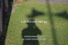 5-25-2025-BSD-3987
