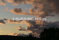 5-25-2025-BSD-4402