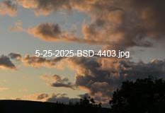 5-25-2025-BSD-4403