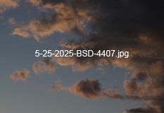 5-25-2025-BSD-4407