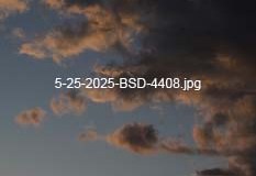 5-25-2025-BSD-4408