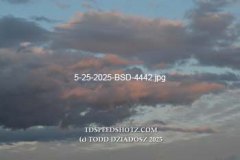 5-25-2025-BSD-4442