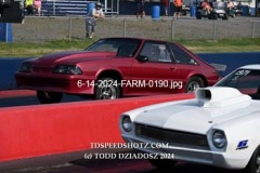 6-14-2024-FARM-0190