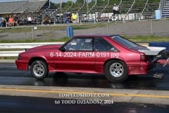 6-14-2024-FARM-0191