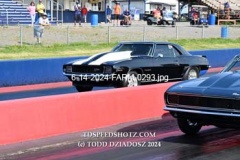 6-14-2024-FARM-0293